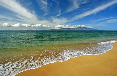 shutterstock backgrounds|shutterstock images without watermark.